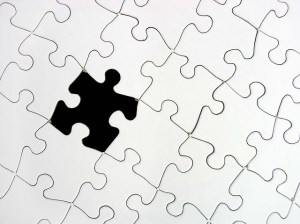 influencing the puzzle of life